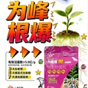 為峰根爆，三天生新根，五天爆發(fā)式生根，七天滿地都是根
