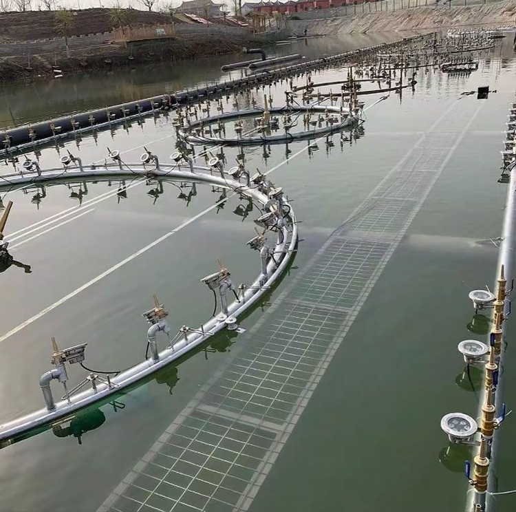 48003.jpg@750w_750h_90Q