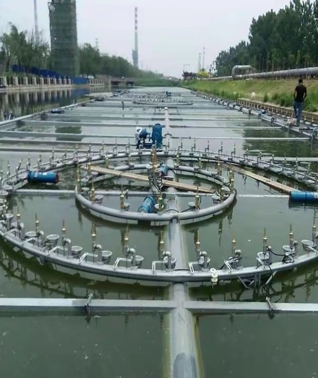 33936.jpg@750w_750h_90Q