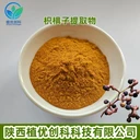 枳椇子提取物枳椇子粉二氫楊梅素
