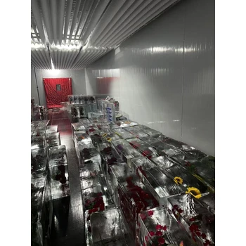 新鄉(xiāng)冰凍公司logo