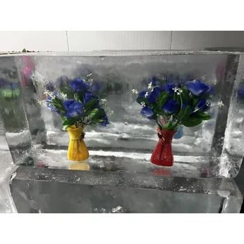 新鄉(xiāng)冰凍公司logo