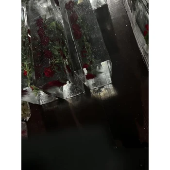 茂名破冰冰雕冰塊凍logo