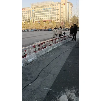 新鄉(xiāng)冰凍公司logo