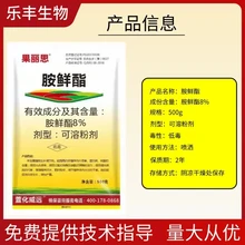 冬季大棚防凍增肥增效用藥胺鮮酯西紅柿辣椒茄子圖片