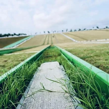 軌道滑草加厚耐磨彩虹滑道滑草場草坪歡天喜地來滑道