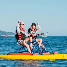 水上電動(dòng)游樂(lè)船景區(qū)游樂(lè)船親子雙人游樂(lè)船水上腳踏船