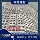 興圣建材連鎖式新型護(hù)坡磚550-550-120規(guī)格鉸接式護(hù)坡磚