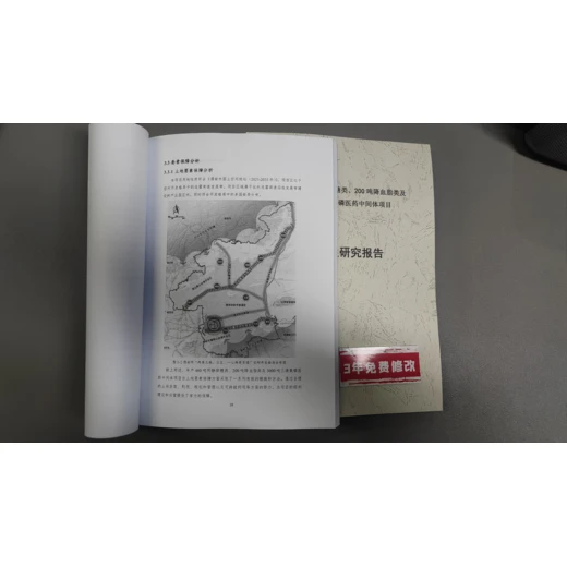 清远写立项报告-代写可行性报告的公司