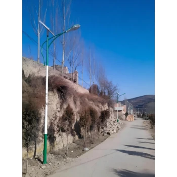 大理太陽能路燈工程