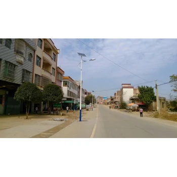 大理太陽能路燈工程