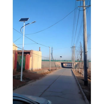 巴中景觀燈圖片