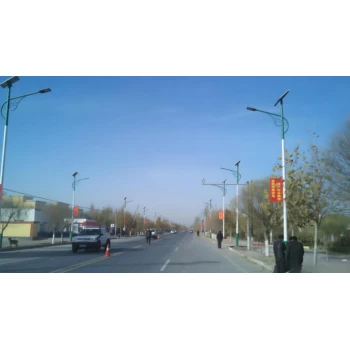 巴中景觀燈圖片