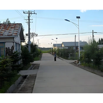 河池景觀燈圖片