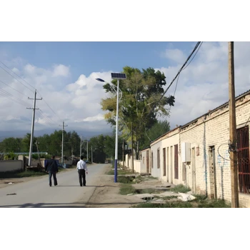 畢節(jié)太陽能路燈工程