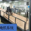 GB12966標(biāo)準(zhǔn)10M輪椅車(chē)動(dòng)態(tài)坡道臺(tái)