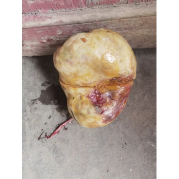 昆明上門鑒定收購青銅器—古錢幣當(dāng)天變現(xiàn)