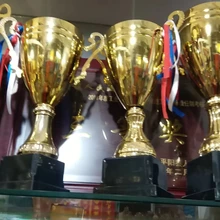 會(huì)員資格證內(nèi)頁(yè)印刷西安表彰獎(jiǎng)品大全水晶獎(jiǎng)杯木托獎(jiǎng)牌批發(fā)