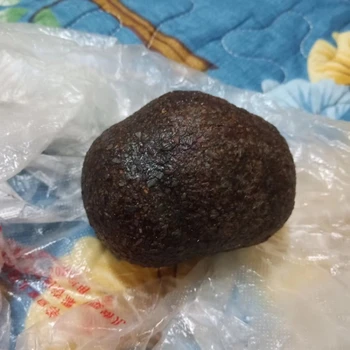 西雙版納牛寶上門鑒定收購—古錢幣收購