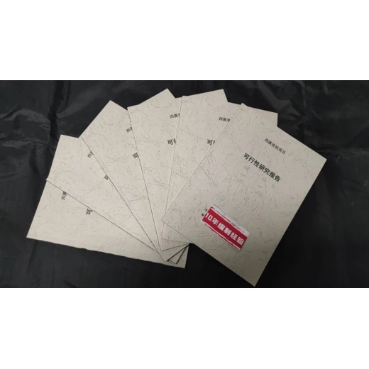 黔南编写可行性报告的立项文本