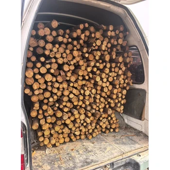 植樹綠化桿哪家好