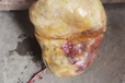 泉州私人鉴定收购牛宝—瓷器收购电话