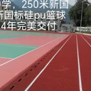 塑膠跑道硅pu籃球場，epdm彈性地坪，人造草坪，丙烯酸地坪