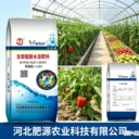 腐殖酸水溶肥沖施滴灌蔬菜水果種植通用