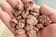 銅陵園藝黑色火山巖種花盆栽墊底填土用陶粒沸石顆粒供應(yīng)