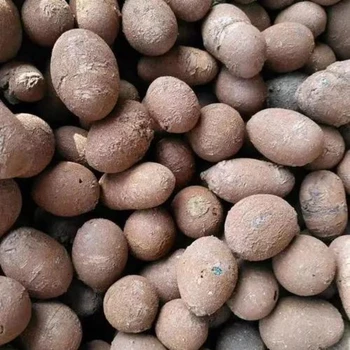 洛陽植物鋪面用火山石輕質(zhì)減震陶粒白沸石廠家