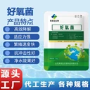 復(fù)合好氧菌種降解COD氨氮生化池好氧菌