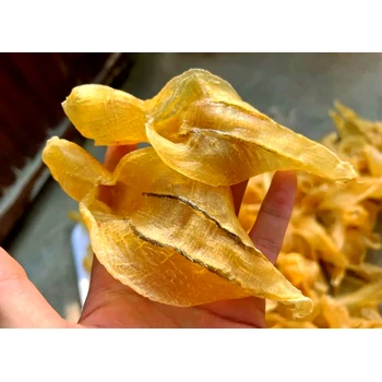 青島港干魚鰾進(jìn)口清關(guān)流程解析，一文理清全流程