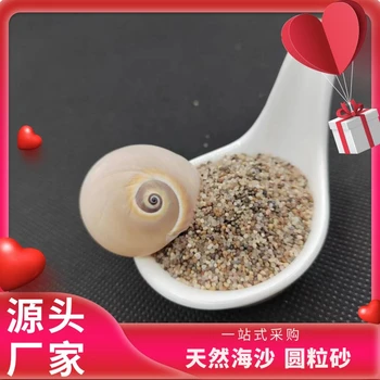 桐城海沙天然海砂(海沙)（白沙）濾料生產(chǎn)供應(yīng)商