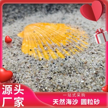 長(zhǎng)春水處理海沙_海砂濾料_兒童沙生產(chǎn)基地