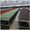 農業(yè)種植設備水肥灌溉移動軌道苗床多規(guī)格支持定制