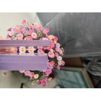 蘇州卓尼PC板材多層防彈復(fù)合板抗沖擊性質(zhì)輕生產(chǎn)加工一體廠家