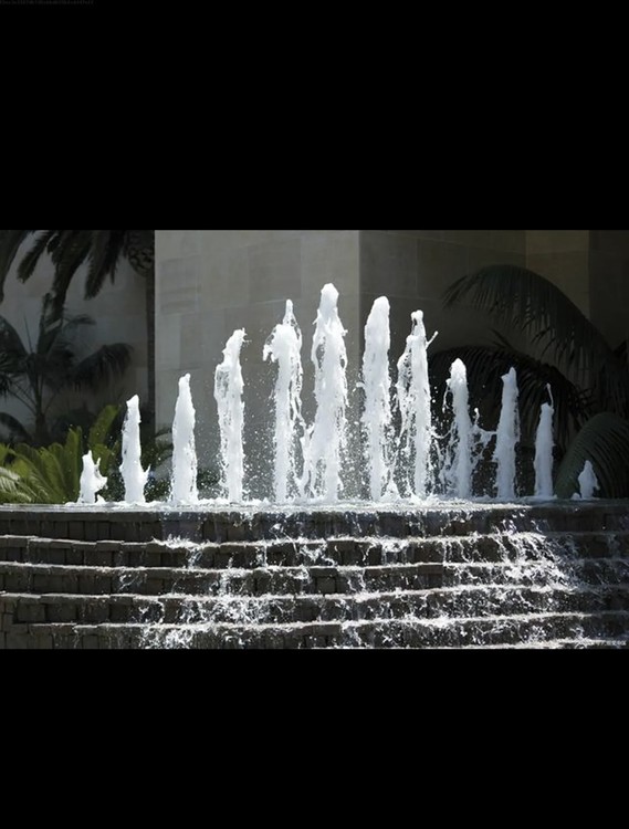 1769238727063776500-0.jpg@750w_750h_90Q