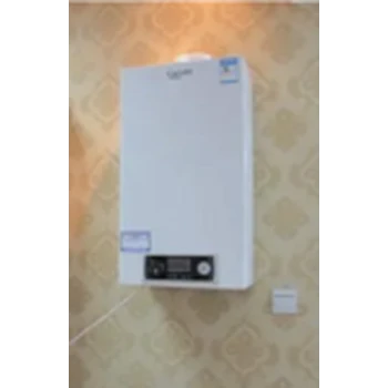 蕪湖小松鼠壁掛爐維修電話-24小時(shí)受理中心