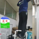 家里有老鼠后該怎么處理