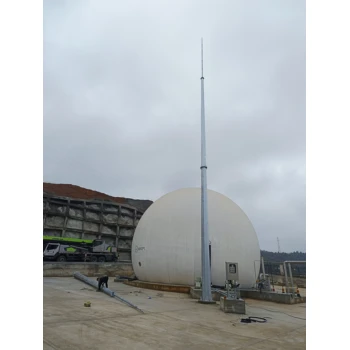 浙江避雷針廠家浙江避雷塔浙江構(gòu)架生產(chǎn)廠家