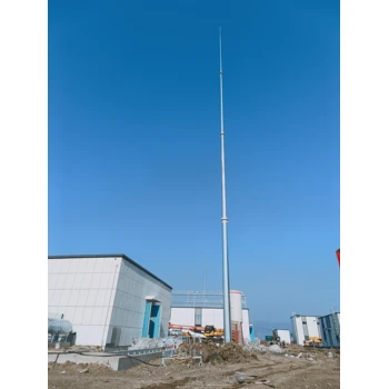 福建避雷針廠家福建避雷塔廠家福建構(gòu)架生產(chǎn)廠家