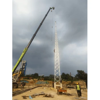青海避雷針廠家青海避雷塔廠家青海構(gòu)架生產(chǎn)廠家青海避雷接地