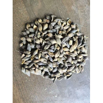 求購中草藥連翹