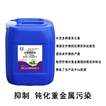 土壤修復(fù)蒙盈葉面阻控劑液體硅肥降鎘提升作物品質(zhì)