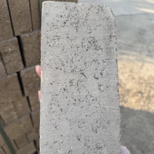 廣州混凝土實心磚水泥磚國標磚標準磚生產(chǎn)廠家