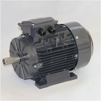 特波IEC系列電機