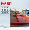 鑲銅鑄鐵圓閘門黑河PGZ1800x2000平面拱形鑄鐵閘門