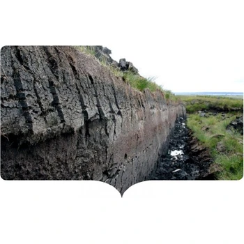 省心省力泥炭进口申报