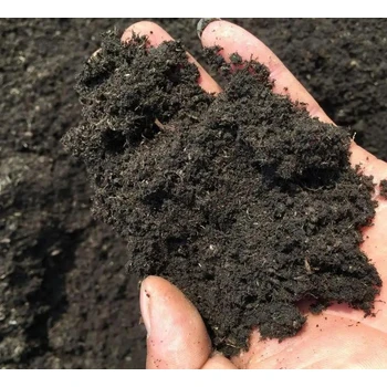 省心省力泥炭进口申报