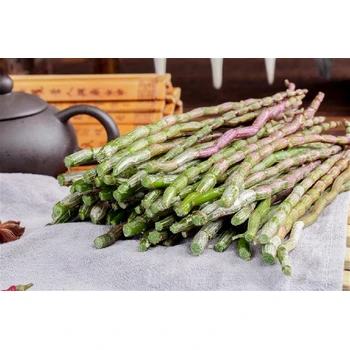 讲解清晰铁皮石斛进口报关流程